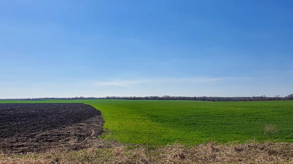 Semeando tempo na Ucrânia durante a guerra. Preparação de campos para semear grãos. Céu azul, terra arada. terror. — Fotografia de Stock