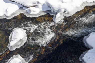 Batı Ukrayna doğası. Dağlar, nehirler ve ormanlar. Savaş mültecileri için barınak. İşgal altındaki bölgelerden ayrılın. Ukrayna 'da savaş. Terör ve soykırım.