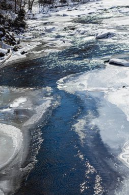Batı Ukrayna doğası. Dağlar, nehirler ve ormanlar. Savaş mültecileri için barınak. İşgal altındaki bölgelerden ayrılın. Ukrayna 'da savaş. Terör ve soykırım.