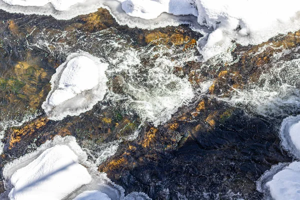 Batı Ukrayna doğası. Dağlar, nehirler ve ormanlar. Savaş mültecileri için barınak. İşgal altındaki bölgelerden ayrılın. Ukrayna 'da savaş. Terör ve soykırım.