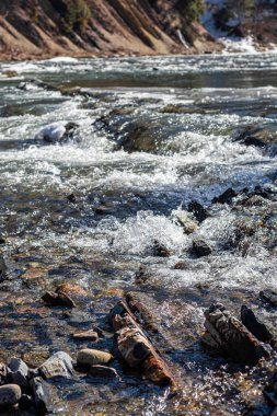 Batı Ukrayna doğası. Dağlar, nehirler ve ormanlar. Savaş mültecileri için barınak. İşgal altındaki bölgelerden ayrılın. Ukrayna 'da savaş. Terör ve soykırım.