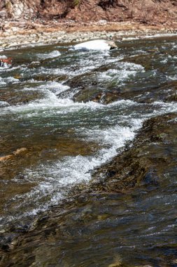 Batı Ukrayna doğası. Dağlar, nehirler ve ormanlar. Savaş mültecileri için barınak. İşgal altındaki bölgelerden ayrılın. Ukrayna 'da savaş. Terör ve soykırım.