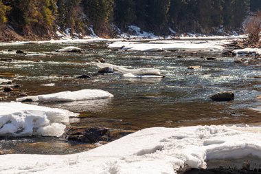 Batı Ukrayna doğası. Dağlar, nehirler ve ormanlar. Savaş mültecileri için barınak. İşgal altındaki bölgelerden ayrılın. Ukrayna 'da savaş. Terör ve soykırım.