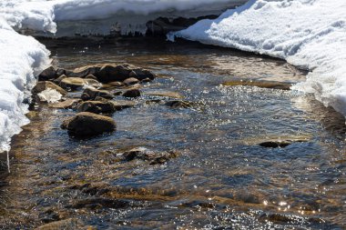 Batı Ukrayna doğası. Dağlar, nehirler ve ormanlar. Savaş mültecileri için barınak. İşgal altındaki bölgelerden ayrılın. Ukrayna 'da savaş. Terör ve soykırım.