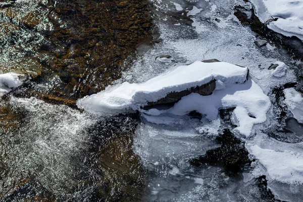 Batı Ukrayna doğası. Dağlar, nehirler ve ormanlar. Savaş mültecileri için barınak. İşgal altındaki bölgelerden ayrılın. Ukrayna 'da savaş. Terör ve soykırım.