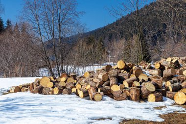 Ukrayna 'nın köylerinde terk edilmiş ve yıkılmış evler. Savaş yüzünden. İşgal altındaki bölgelerden ayrılın. Ukrayna 'da savaş. Terör ve soykırım.