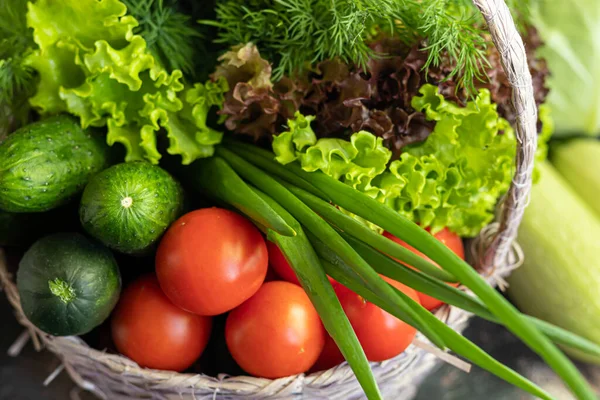 Fresh Vegetables Salad Basket Tomatoes Cucumbers Zucchini Cabbage Dill Spring Imagem De Stock