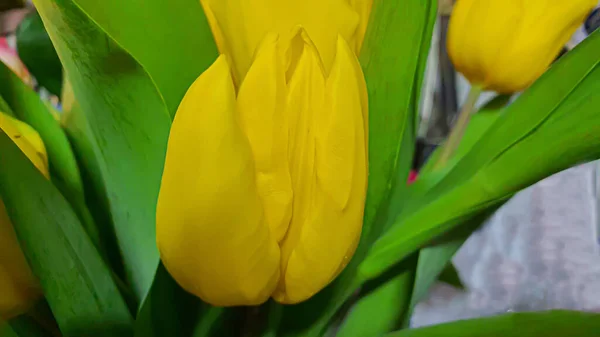 Ramo Flores Diferentes Jarrón Día Madre Día Mujer San Valentín — Foto de Stock