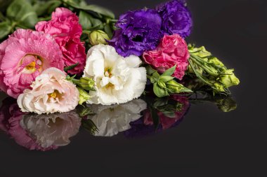 Bouquet of multi-colored eustoma. Pink and lilac with white flowers on a light background. copy space.