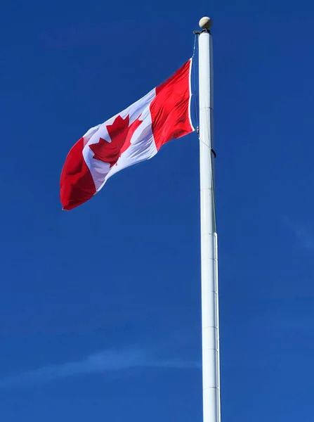 Bandiera Del Canada Flagpole Breeze Con Blue Sky Algonquin Park — Foto Stock