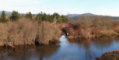 Öğleden sonra manzarası Güneşin son ışıklarıyla