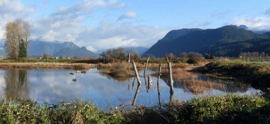 Vadideki bataklıklar arasında bataklık göleti