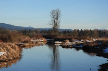 Biraz kar ve mavi gökyüzü olan kış manzarası