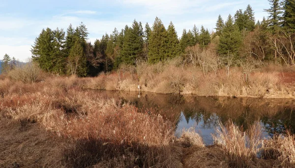 Tranquille Soirée Reflétée Dans Surface Miroir Rivière — Photo