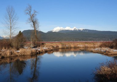Kış örtülü dağlar ve yapraksız ağaçlar.