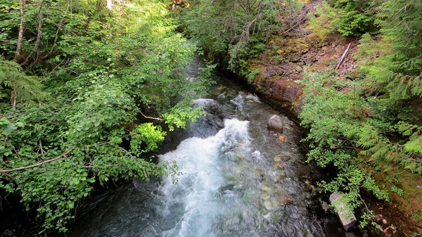 Fast Mountain Stream Runs Rocks — Foto de Stock