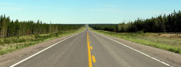 Canadian Northwest Territories Roads Lead Horizon — Photo