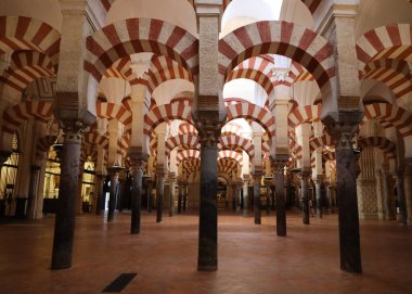 Sevilla 'nın Alcazar' ının 1000 doğu sütunu