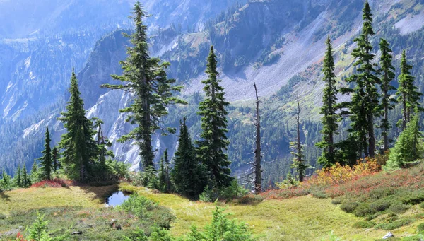 Colorful Autumn Volcanic Valleys Mount Baker — Stock Fotó