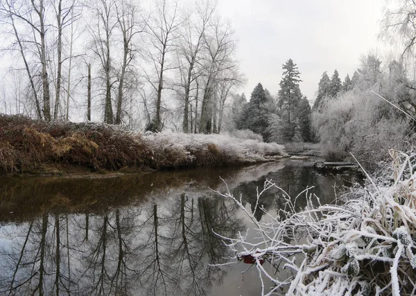 Frost Matutino Parque Local — Fotografia de Stock