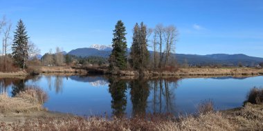  Britanya Kolumbiyası bataklıklarının sonbahar manzarası