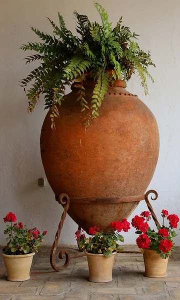 Old Amphora Now Holds Flowers — Foto Stock