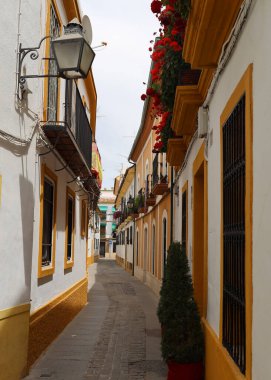 Cordoba 'da çiçeklerle süslenmiş dar sokaklar