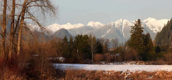 Winter Scenery British Columbia Farmland — Fotografia de Stock