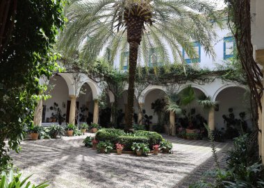 Cordoba 'nın en güzel avlularından biri.