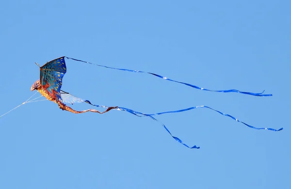 Літаючий Повітряний Змій Океанічному Бризі — стокове фото