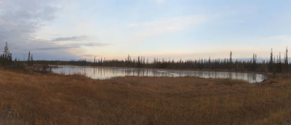Northwest Territories Colors Late Autumn — Photo