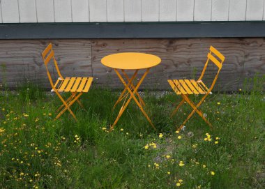 Yeşil çimlerde sarı bahçe ayarı