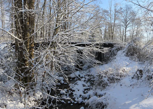 Fresh First Snow Winter — Fotografia de Stock