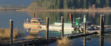 Pitt River rıhtımında uykulu bir sabah