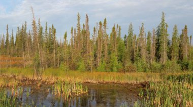 Kuzeybatı topraklarına bahar geldi.                               