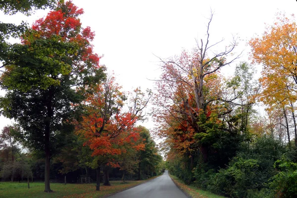 Autumn New York State Country — Fotografia de Stock