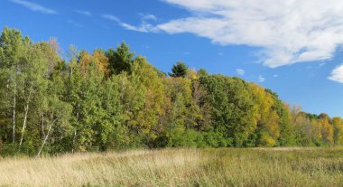 Autumn scenery in country environment