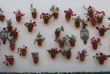 Flower pots a favorite decoration in Cordoba Spain