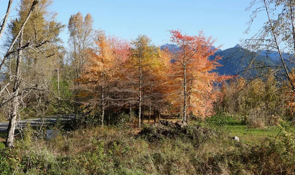Classic Autumn Day British Columbia Country — Photo