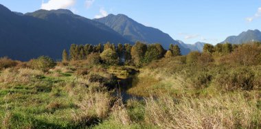 Summer scenery in the British Columbia wilderness