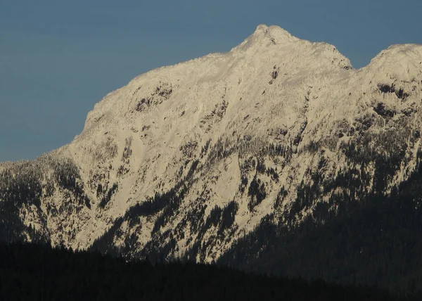Snow Capped Peaks Canadian Cascadia Mountains — ストック写真
