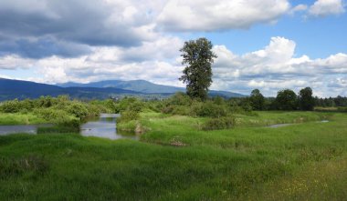 Walking on the dykes in a cloudy day