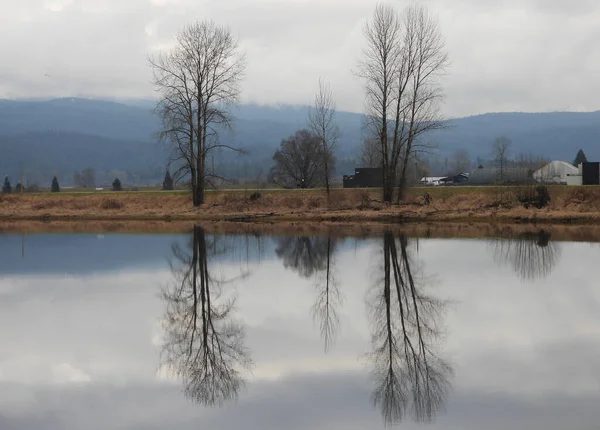 Mirror reflections of misty autumn scenery