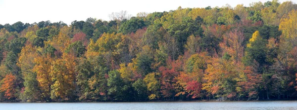 Colors Autumn North Carolina — Stockfoto