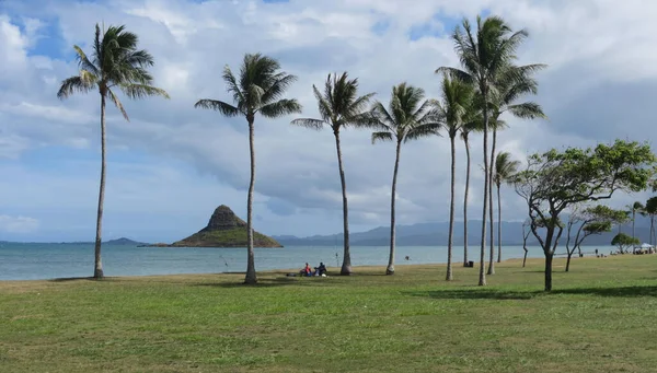 Hawaiian Lifestyle Oahu Island — ストック写真