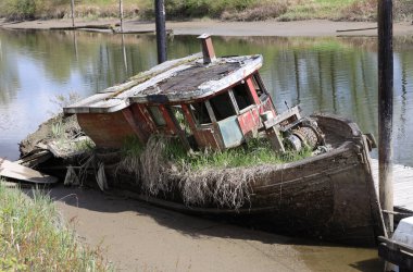 Old wooden boat grows grass beard