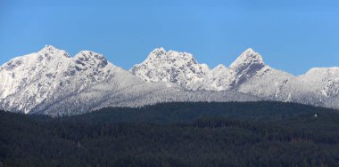 Golden Ears mountains range in early winter colors