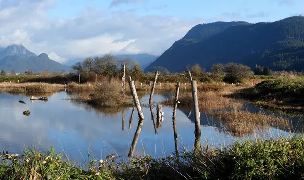 Ponds of the marshes in a sunny autumn day