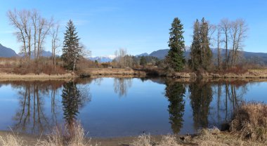 British Columbia winter without snow