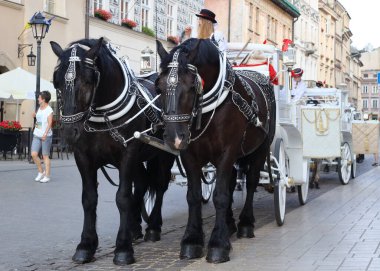 Horse carriage on Old Town Square in Krakow Poland